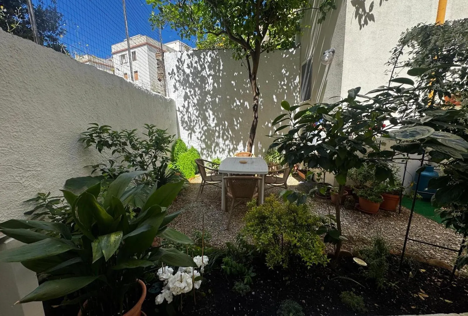 شقة Flowered House With Garden ألغيرو