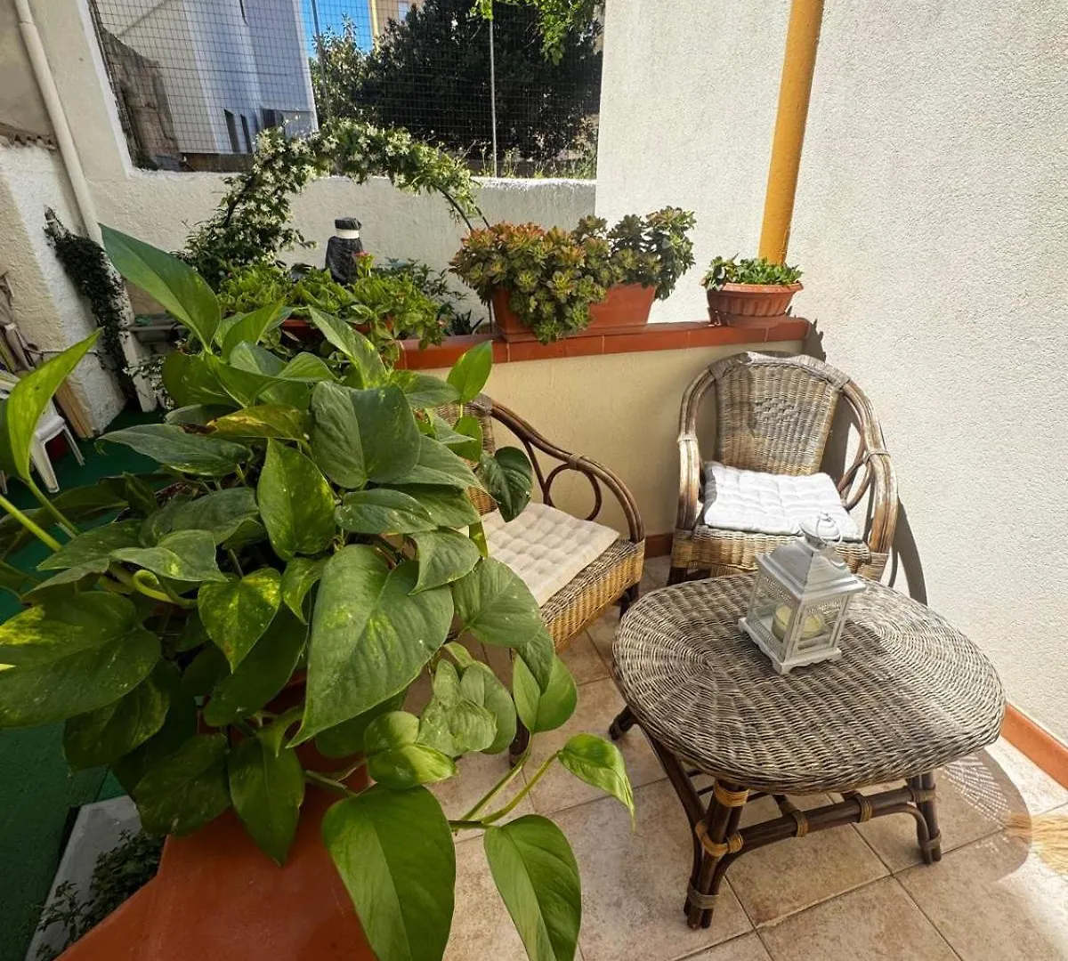 公寓 Flowered House With Garden 阿尔盖罗